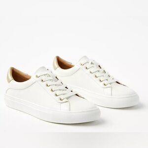 Loft Everyday Lace Up Sneakers